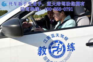 c1报名 c1报名的分类