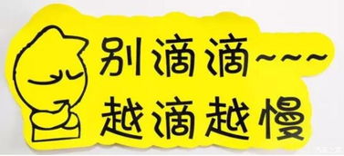 实习车上路 真的可怕吗？解析马路上的“隐形警报”与汽车陪驾服务